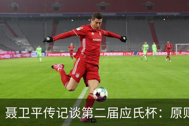聂卫平传记谈第二届应氏杯：原则问题 绝不退让